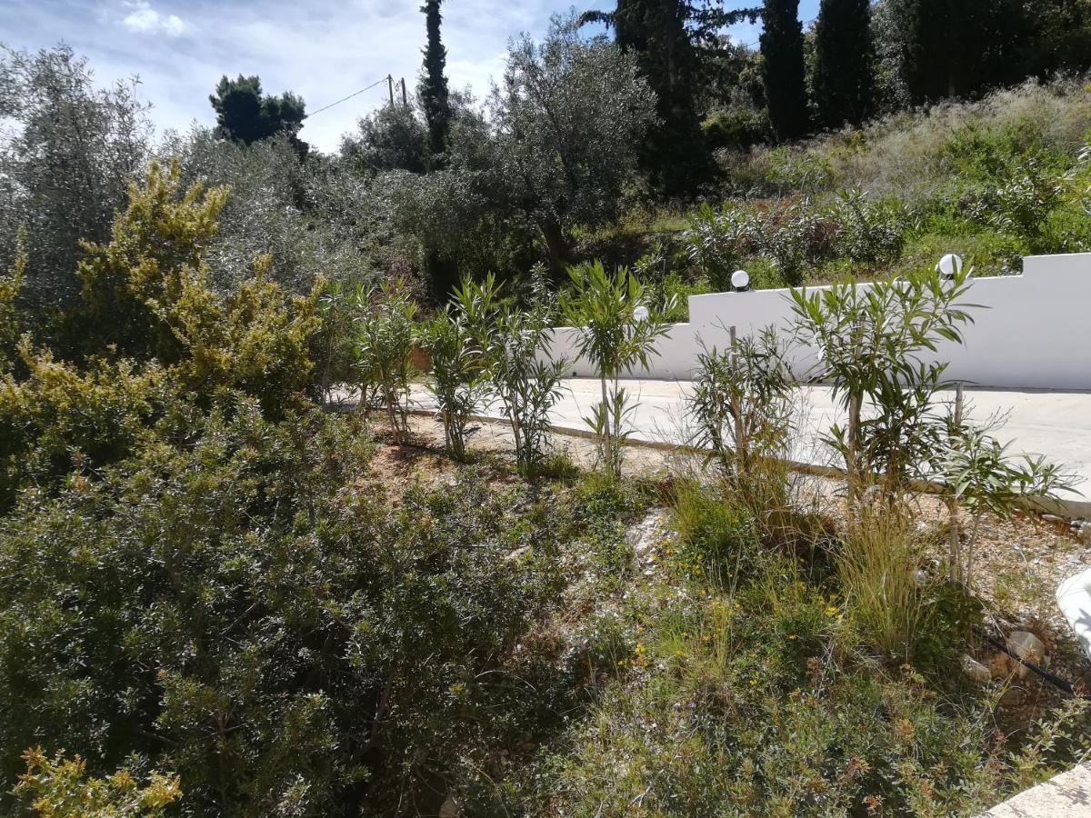 Villa Stone House In Olive Grove Tolón Exterior foto