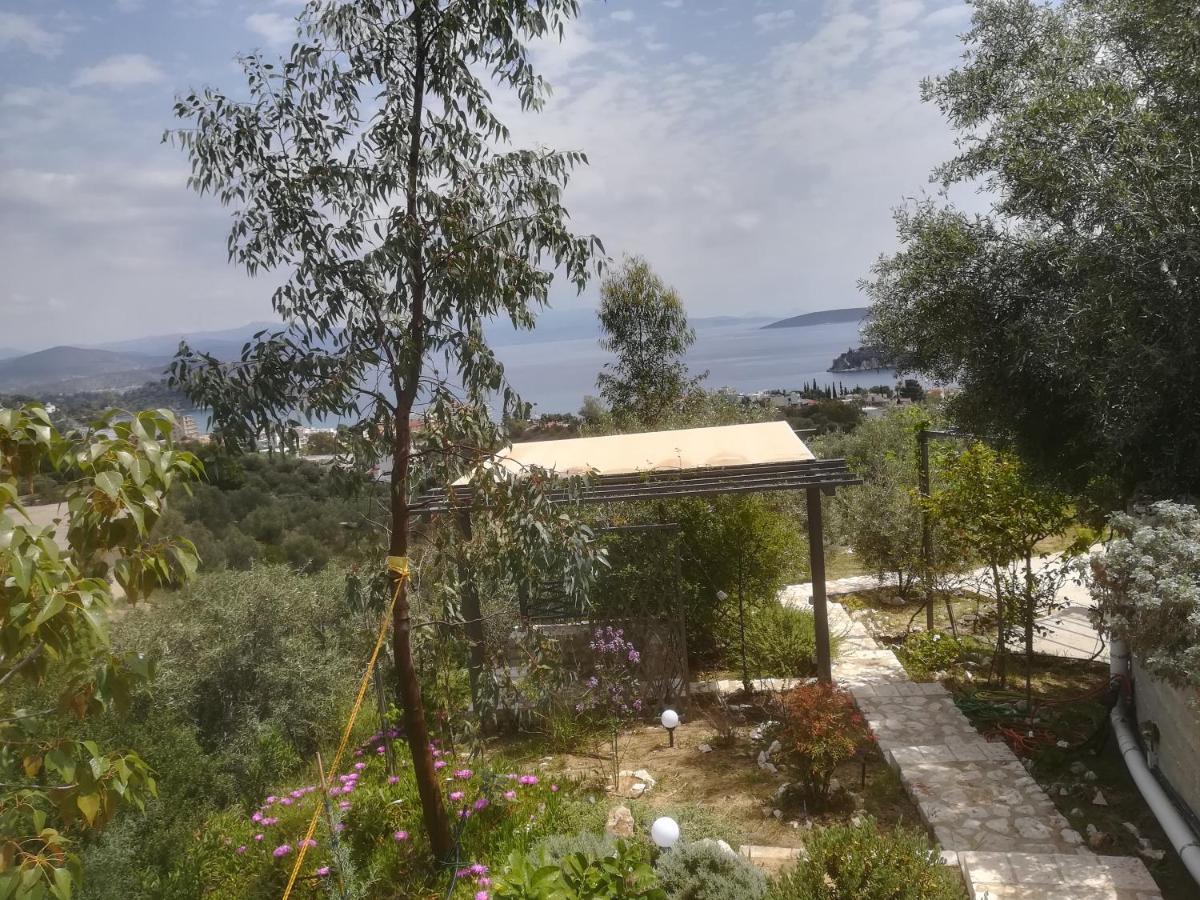 Villa Stone House In Olive Grove Tolón Exterior foto