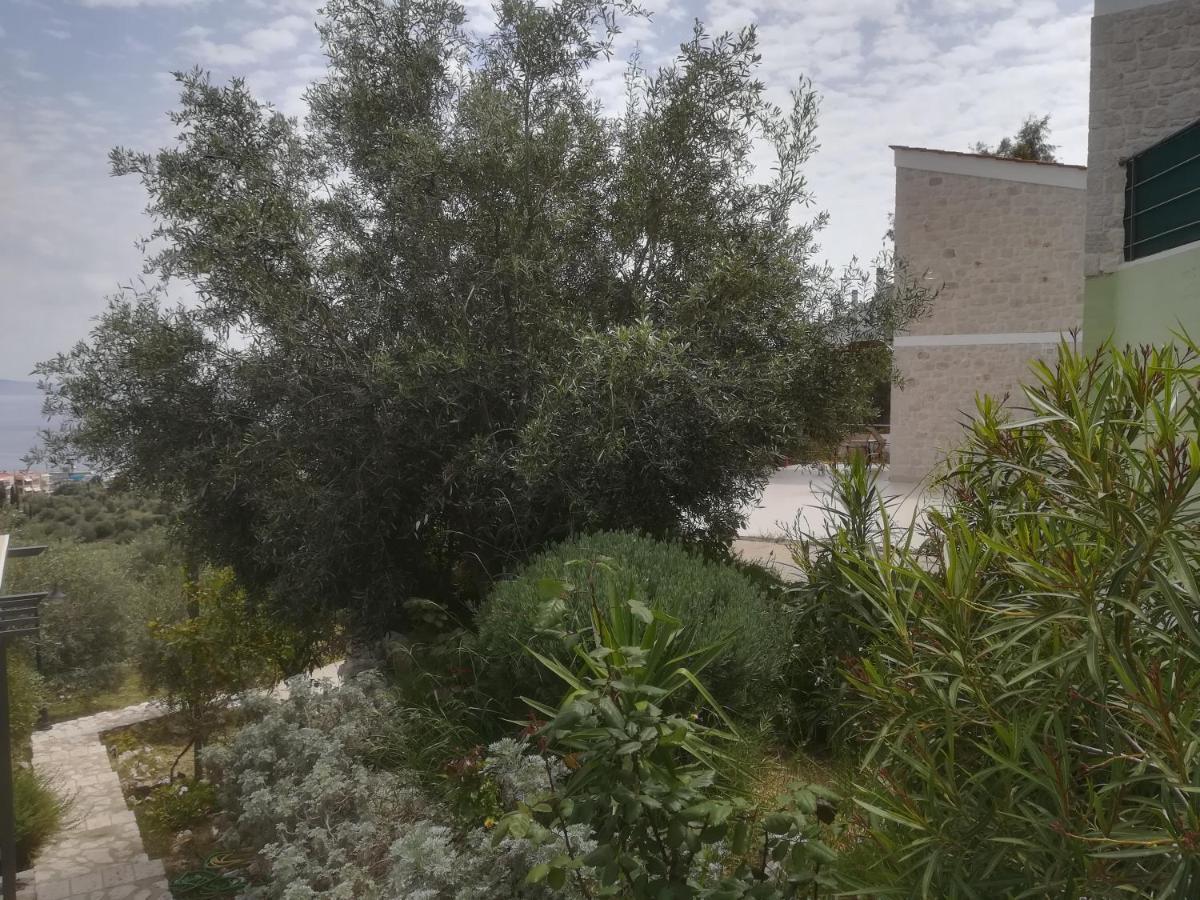 Villa Stone House In Olive Grove Tolón Exterior foto