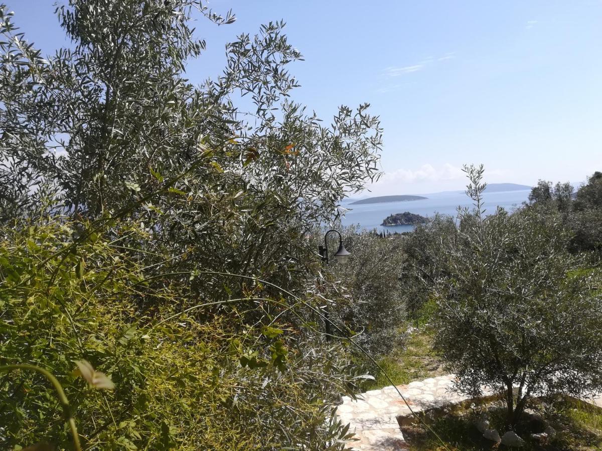 Villa Stone House In Olive Grove Tolón Exterior foto