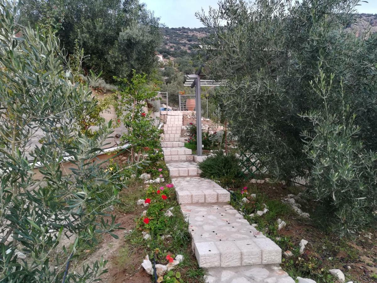Villa Stone House In Olive Grove Tolón Exterior foto